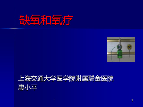 《缺氧和氧疗》PPT课件