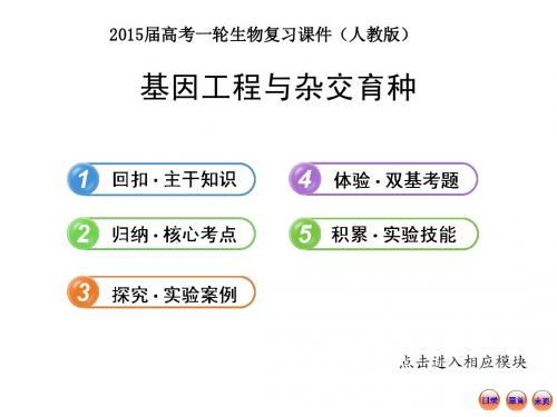 2015届高考一轮生物复习课件：基因工程与杂交育种(上课用)