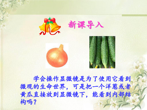 《观察植物细胞》 ppt课件