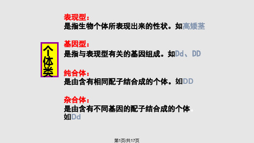专题分离定律和自由组合定律PPT课件