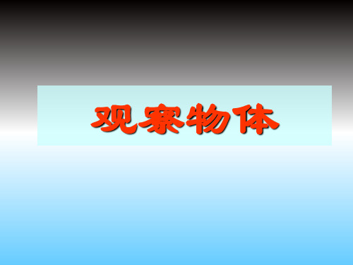 二年级上册数学课件《观察物体》 人教版新课标(秋) (共20张PPT)