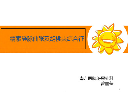 精索静脉曲张及胡桃夹综合征ppt课件