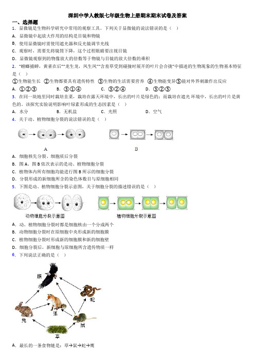 深圳中学人教版七年级生物上册期末期末试卷及答案