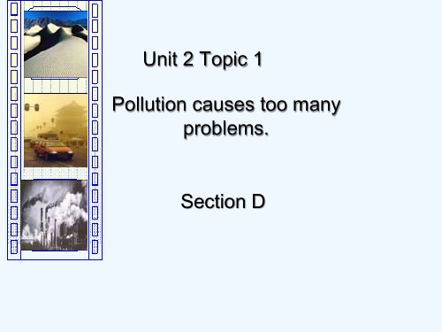 初中英语Unit 2Topic 1 Pollution has causes too many problems.D (1)