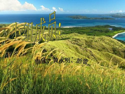 安卓之父
