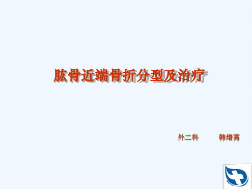 肱骨近端骨折分型及治疗