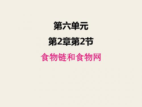初中生物课件济南版八年级下册6.2.2食物链和食物网