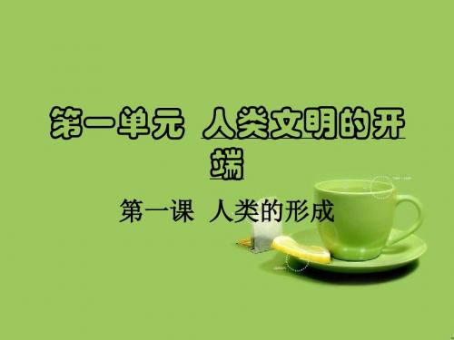 鲁教版八上第一单元《人类文明的开端》ppt课件