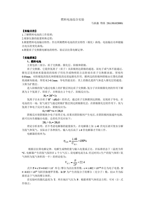 燃料电池综合实验