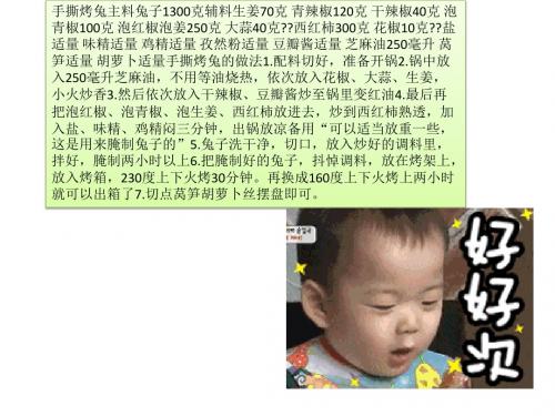 隔着屏幕就能闻到香味儿的朱葛师傅手撕烤兔,我都看不下去了【图文】