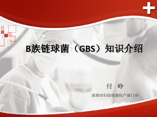 B族链球菌  ppt课件
