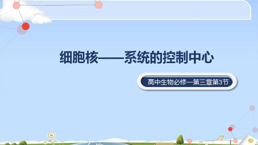 3.3细胞核-系统的控制中心(19张PPT)
