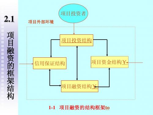 项目融资资金结构