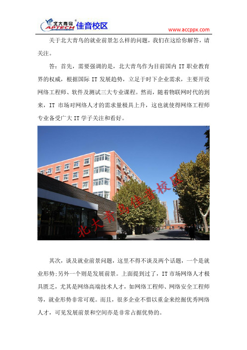 北大青鸟专业怎么样 就业前景好吗