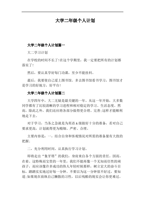 大学二年级个人计划