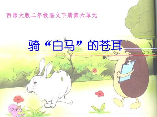 《骑“白马”的苍耳》PPT课件 (共13张PPT)