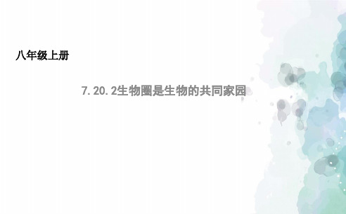 苏教版生物-八年级上册7.20.2生物圈是生物的共同家园课件