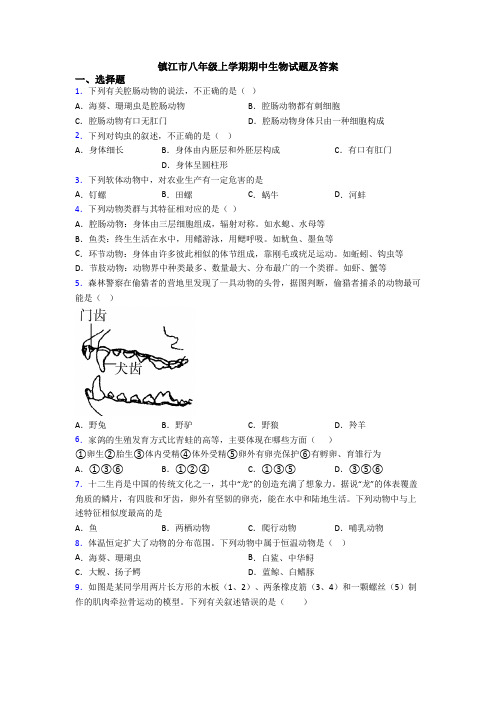 镇江市八年级上学期期中生物试题及答案