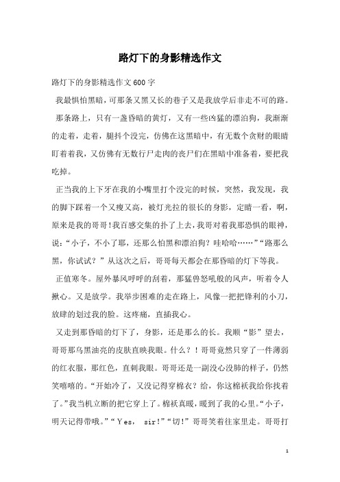 路灯下的身影精选作文