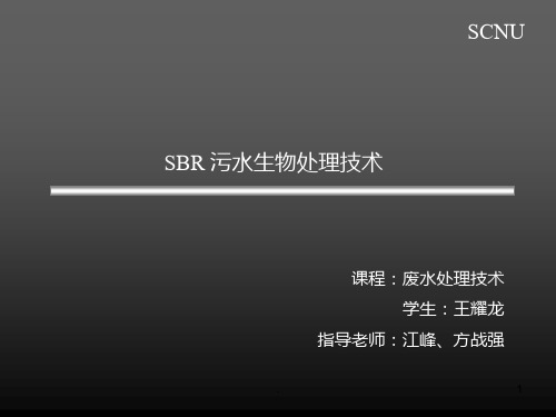 SBR污水处理技术PPT课件