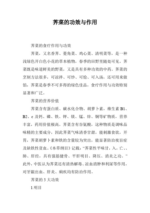 荠菜的功效与作用