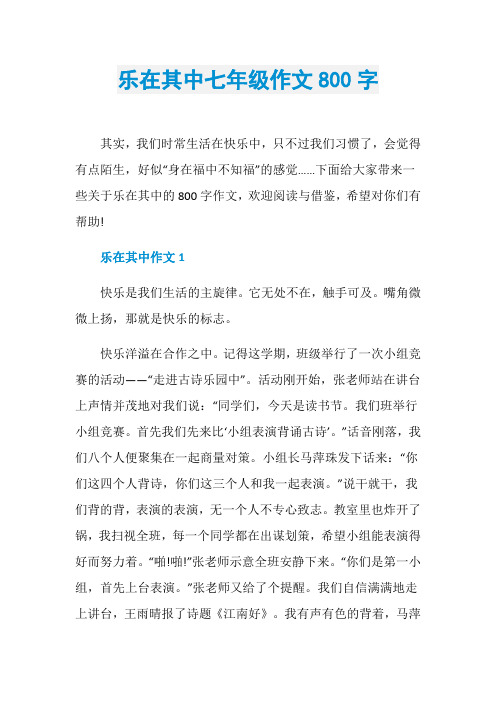 乐在其中七年级作文800字