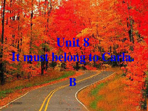 九年级英语全册 口头表达专练 unit 8 it must belong to carla b课件