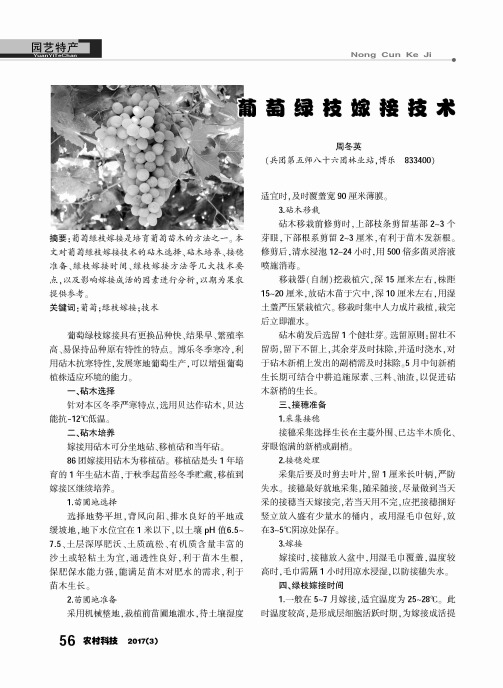 葡萄绿铵嫁接技术