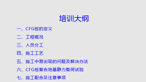CFG桩技术培训PPT课件