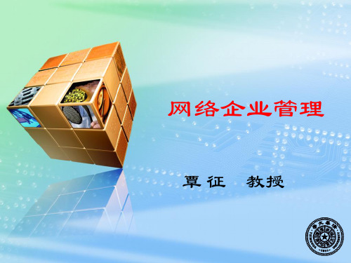 网络企业管理课件(PPT 115页)