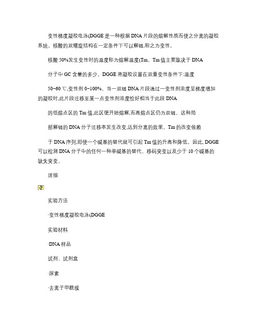 变性梯度凝胶电泳.