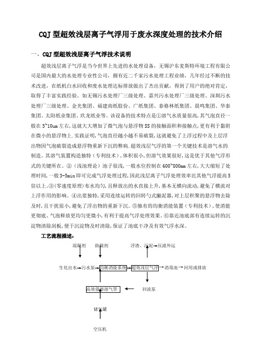 型超效浅层离子气浮用于废水深度处理的技术介绍