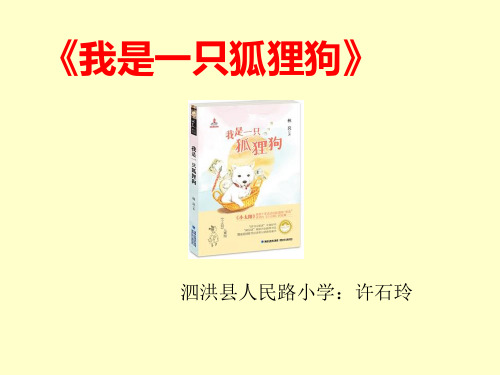 《我是一只狐狸狗》时精品PPT课件