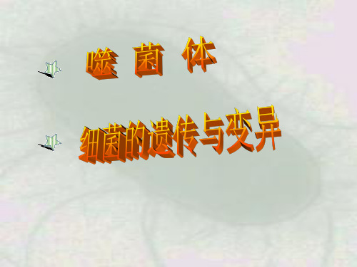 噬菌体遗传变异