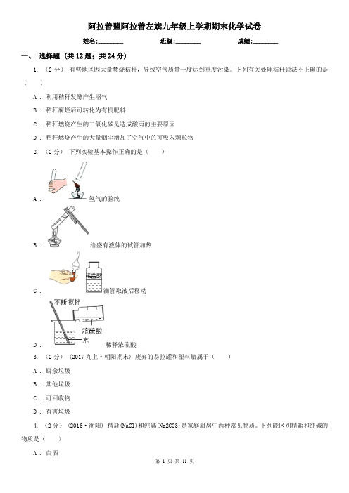 阿拉善盟阿拉善左旗九年级上学期期末化学试卷
