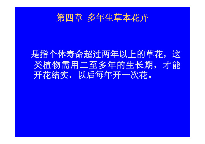 第四章  多年生草本花卉
