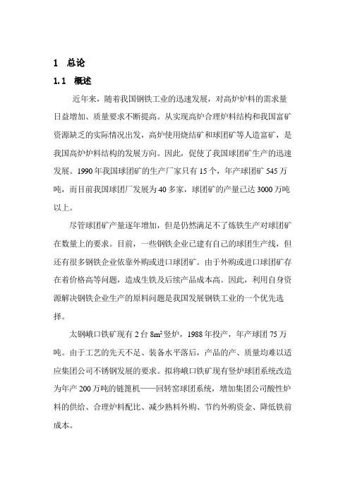 太钢峨口铁矿球团项目可行性研究报告-精品