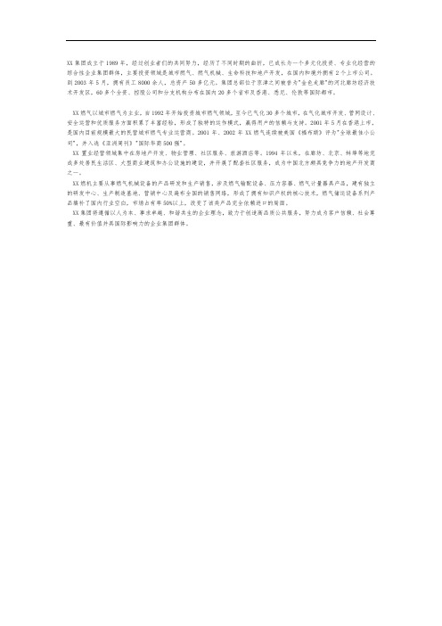 XX集团简介