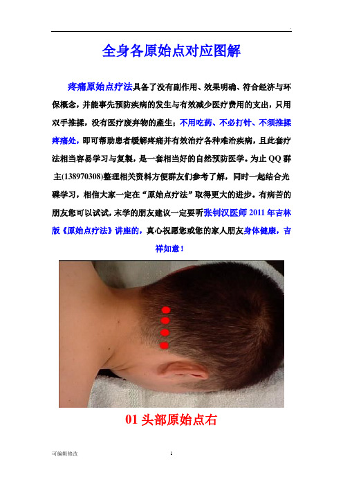 全身各原始点对应图解