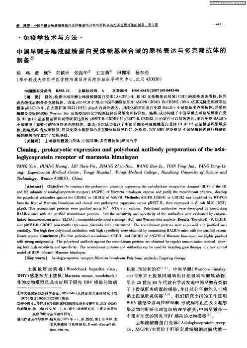 中国旱獭去唾液酸糖蛋白受体糖基结合域的原核表达与多克隆抗体的制备