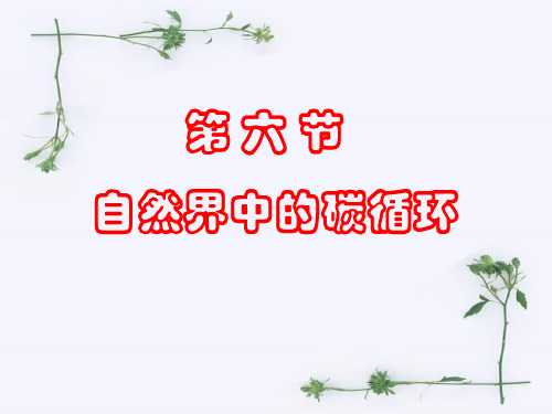 八年级科学 《自然界中氧和碳的循环》ppt课件