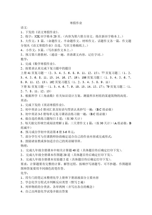 九年级各科寒假作业