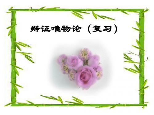 辩证唯物论PPT课件1