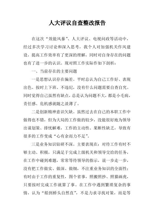 人大评议自查报告