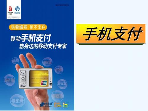 手机支付的业务资费与安全问题PPT(21张)