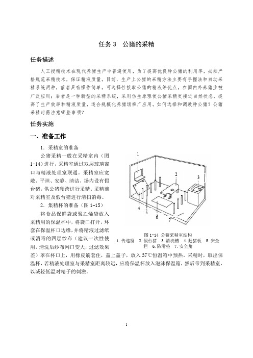 动物繁殖06-电子教材：公猪的采精_9