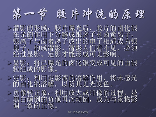 黑白感光片的冲洗课件