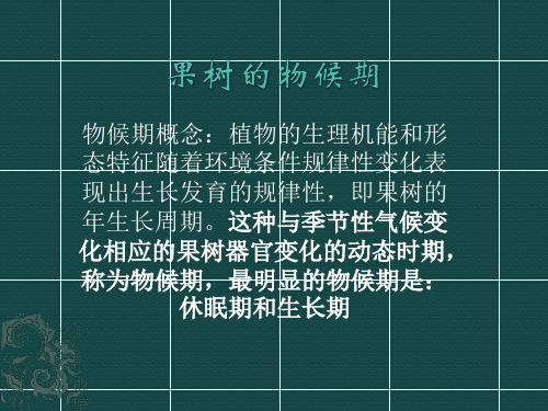 果树的物候期