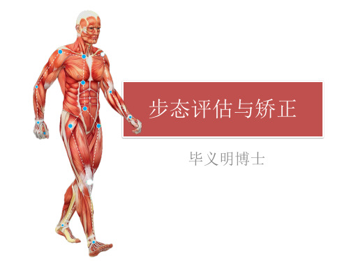 步态讲解,毕义明博士资料.