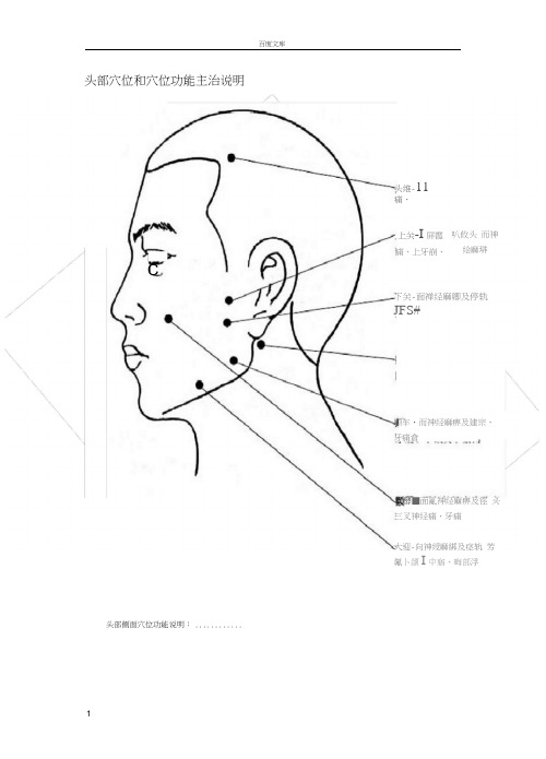 头部穴位和穴位功能主治说明